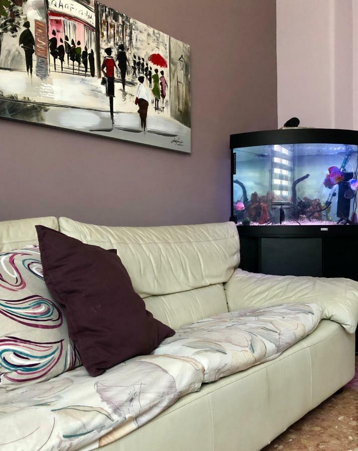 Hébergement de vacances Casa Aurora